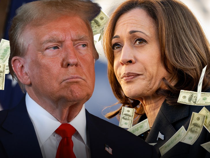 donald trump kamala harris check main