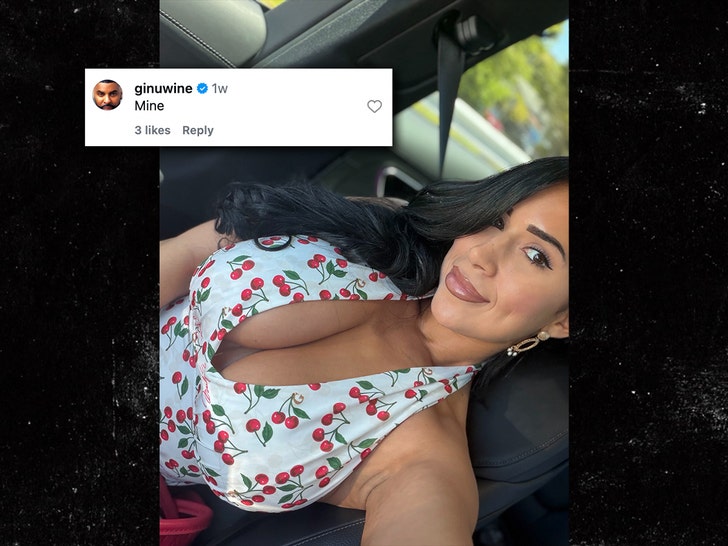 ginuwine and janette insta 