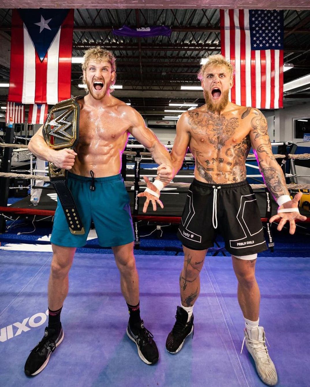 Logan Paul vs. Jake Paul  (Fighter Bros Edition)