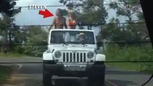 Steven Tyler's Topless Joyride in Hawaii -- How Many Naked Chicks Can You Count?