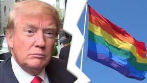 President Trump Shows No Sign of Making June LGBTQ Month