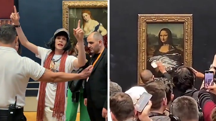 A museumgoer threw cake at the 'Mona Lisa'. What do you think about it? -  Quora