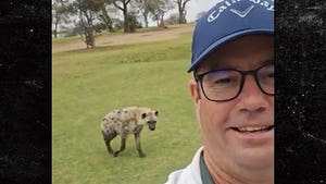 Hyena Stalks Golfer Across South African Course