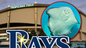 tropicana field tampa bay rays stingrays getty 1