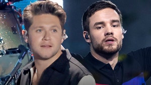 liam payne and niall horan getty 1