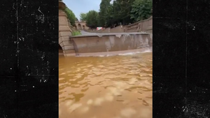 brown at he Meridian Hill Malcolm X Park