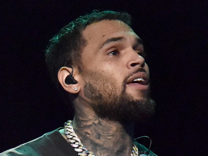 Chris Brown Defends Intimate Photos With Fans During Meet-and-Greets