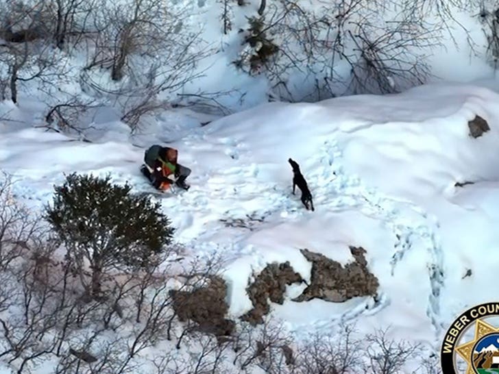 Miracle de Noël alors que les sauveteurs sauvent un chien échoué dans un froid glacial