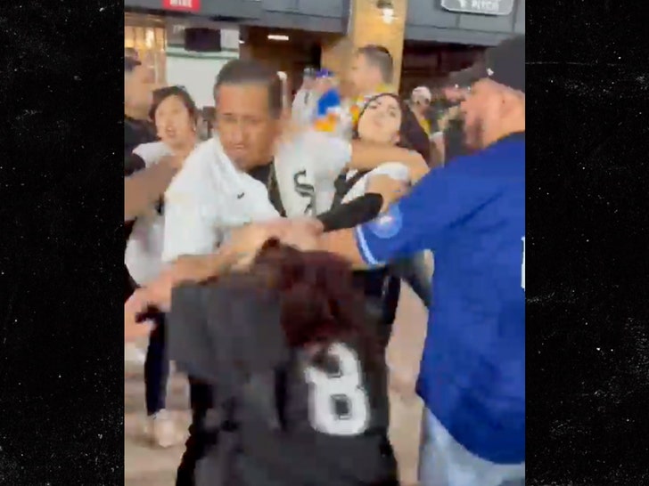 Chicago White Sox, Cubs Fans Brawl During Game In Wild Video!