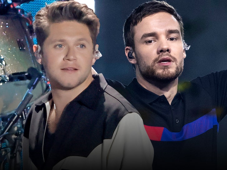 Singer, Niall Horan recalls final meeting with Liam Payne before his de@th