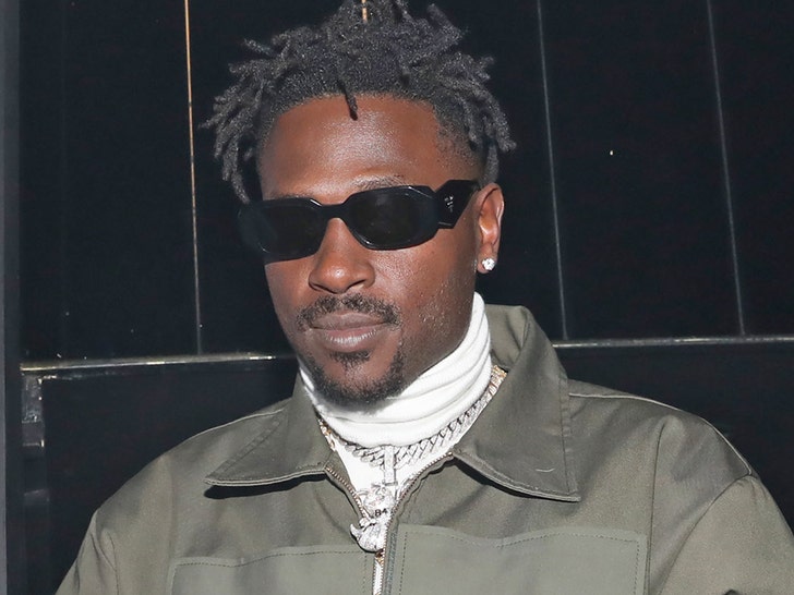 Antonio Brown Attempted To Kill Man With Gun Stolen From Security Guard, Cops Say