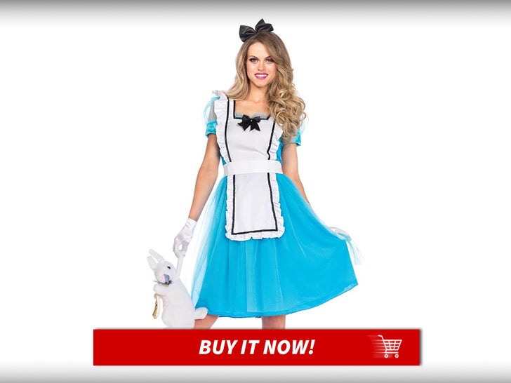 Alice-Leg-Avenue-Fairy-Tale-Costumes-MAIN