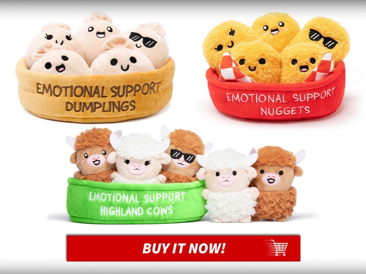 Emotional-Support-Plushes-Gift-Guide-Fun-Last-Minute-Gifts-MAIN