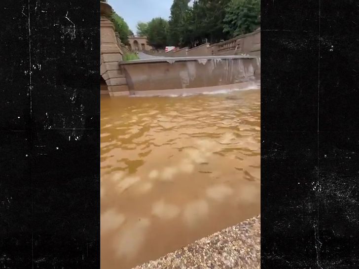brown at he Meridian Hill Malcolm X Park