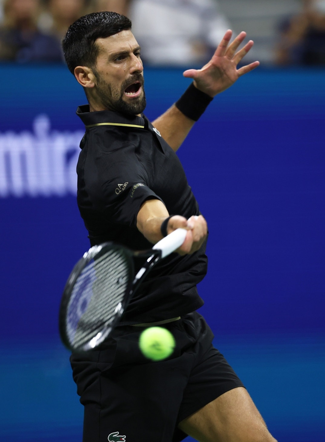 Novak Djokovic Has Won It All Several Times