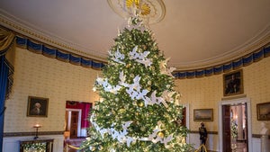The White House Fully Decorated For Christmas with Tree and Ornaments
