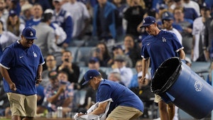 Goose Interrupts Dodgers Playoff Game, Grounds Crew Saves Day