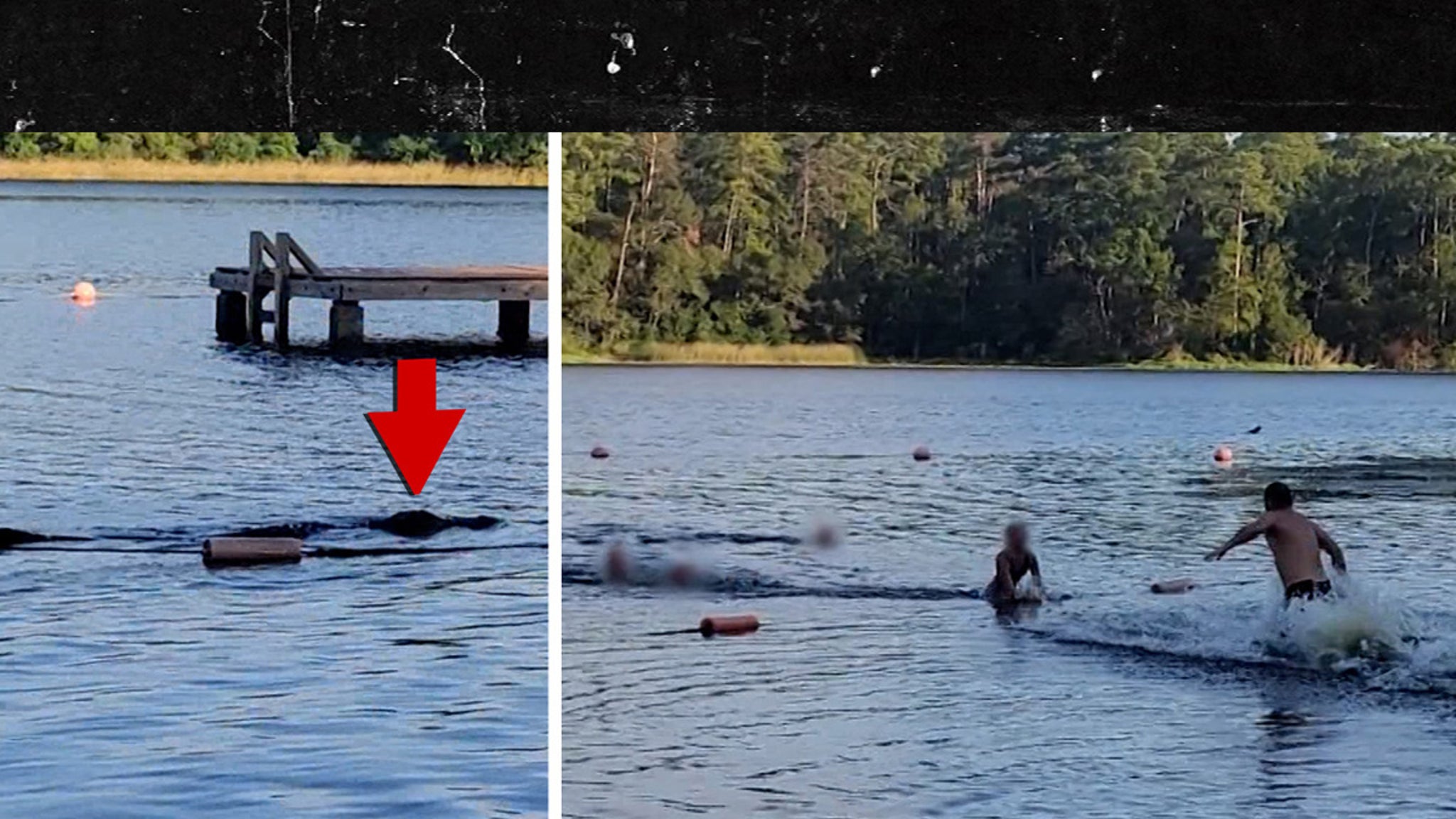 Girl Scout Troop Flees Charging Alligator In Terrifying Video From Texas Lake