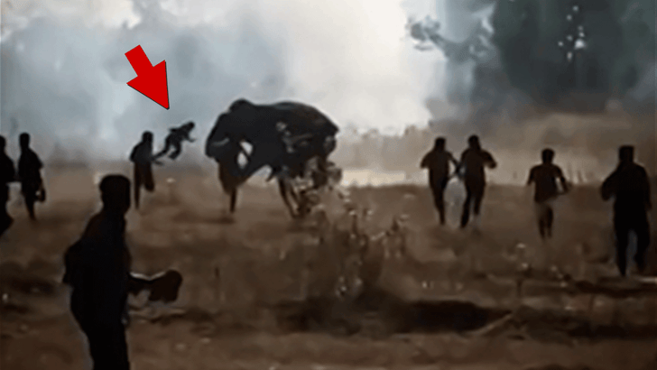 011926_killer_elephant_período