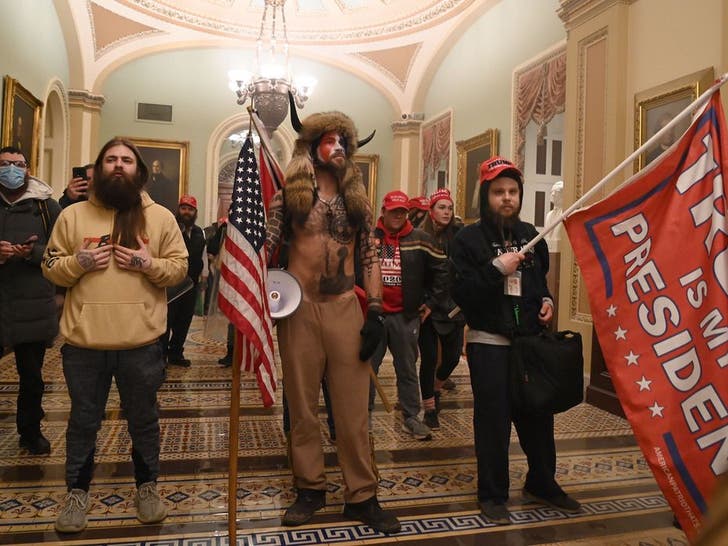 Pro-Trump Protesters Storm U.S. Capitol