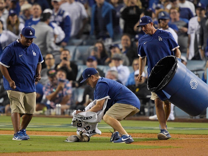 goose at dodgers game