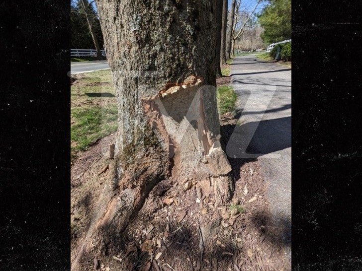 O acidente de carro de Karen Hugar