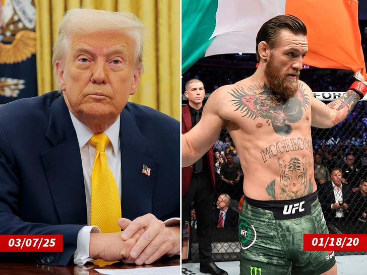 Donald Trump Conor McGregor