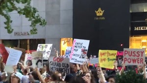 Donald Trump -- P**** Power to the People!! Protest Grows at Trump Tower (VIDEO)