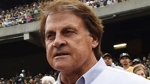 Tony La Russa Charged with DUI Stemming from Alleged February Crash