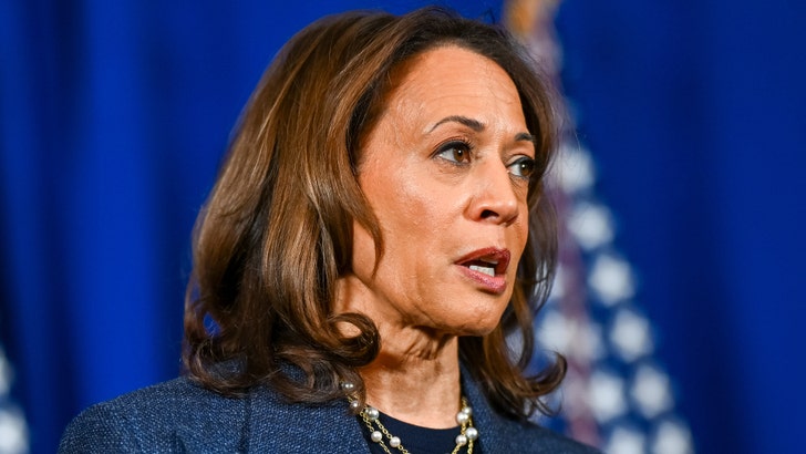 Kamala Harris to Deliver Concession Speech at Howard University