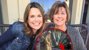 nancy guthrie and savannah guthrie and k9 checking house insta x 1