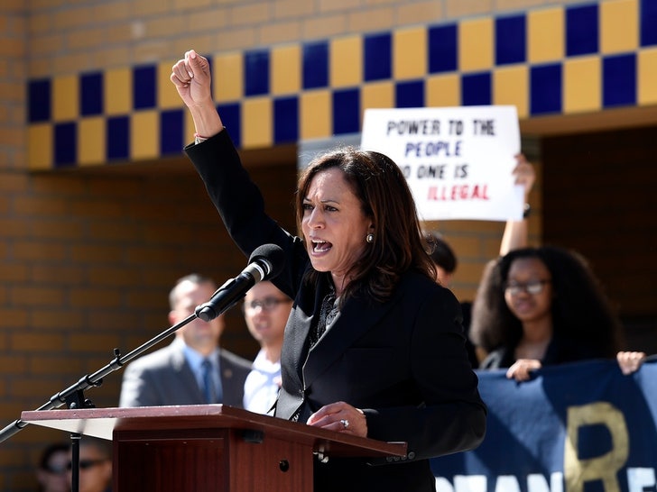 Kamala Harris Hard At Work