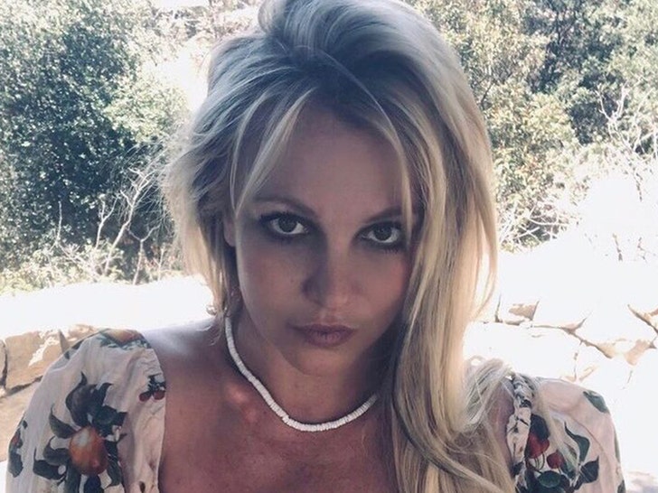 Britney Spears' Lawyer Says Jamie May Take the 5th Over Secret Bedroom ...