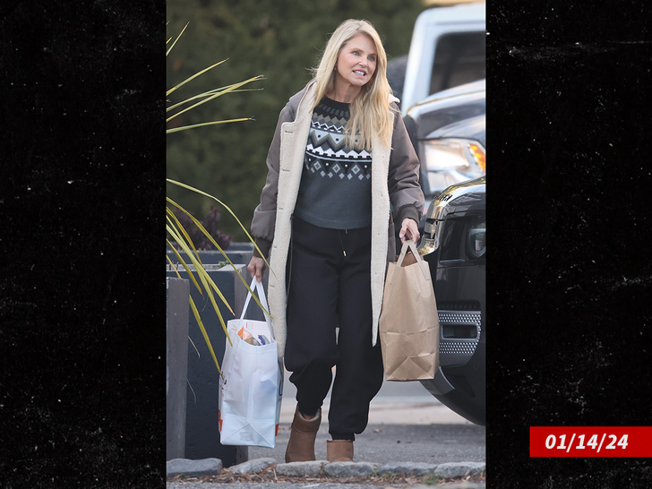 Christie Brinkley spotted carrying groceries