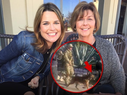 nancy guthrie and savannah guthrie and k9 checking house insta x 1