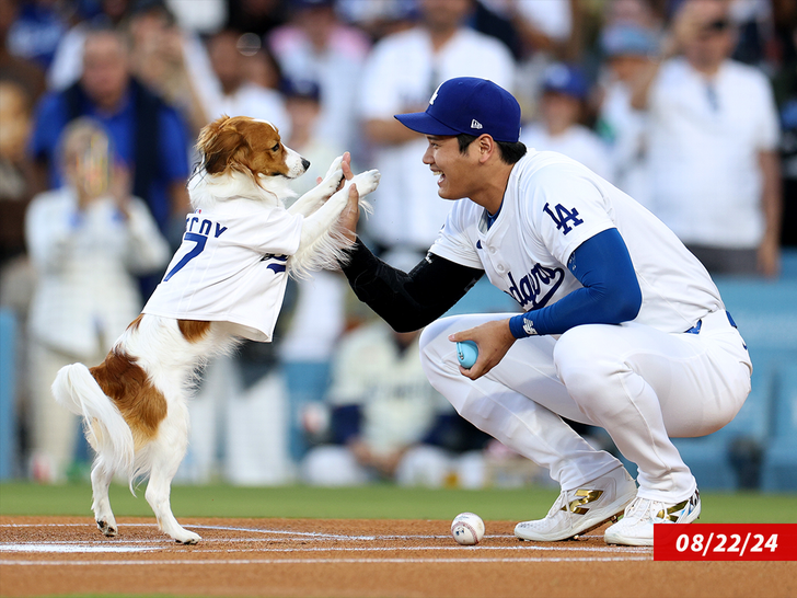 shohei ohtani decoy sub getty 1
