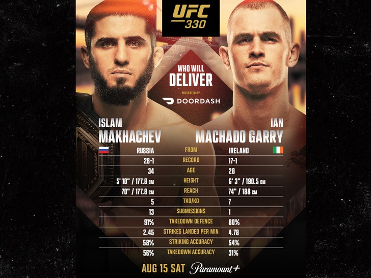 UFC 330 FLYER