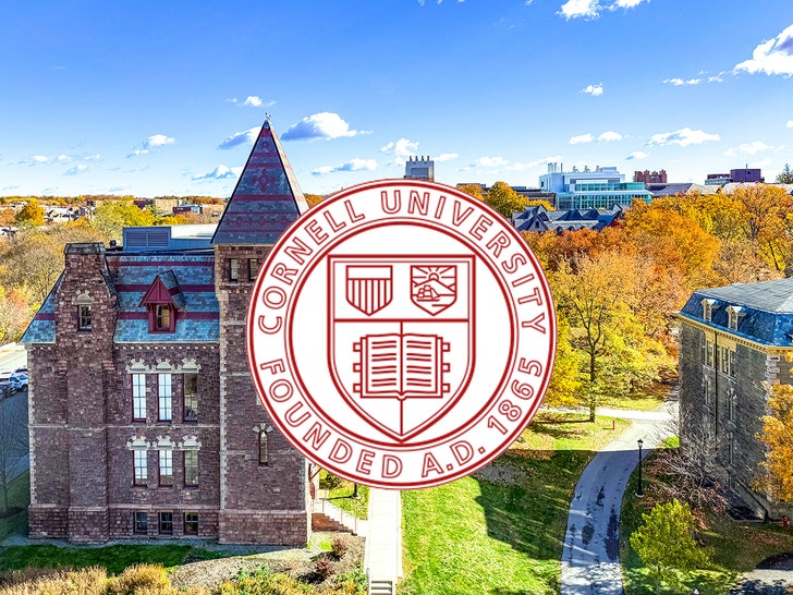 cornell university getty 13