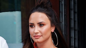 Demi Lovato's Home Targeted by Burglars After Rehab Announcement