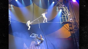 082324-circus-performer-falls-primary