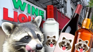 raccoon liquor drinks getty comp 2