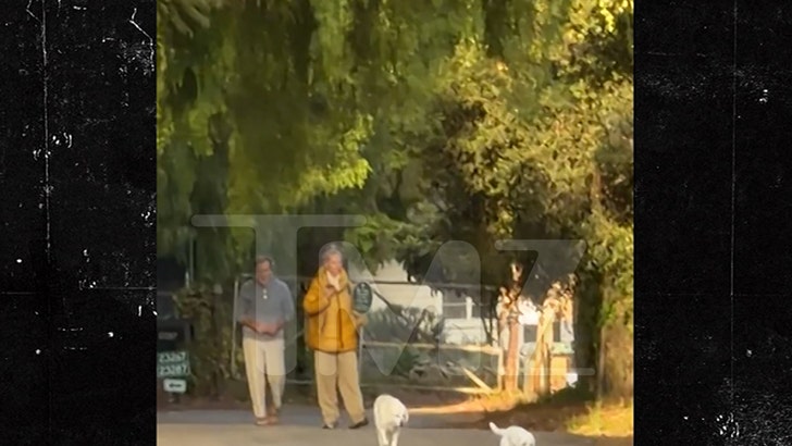 david-charvet-dogs-primary-04-24-2026