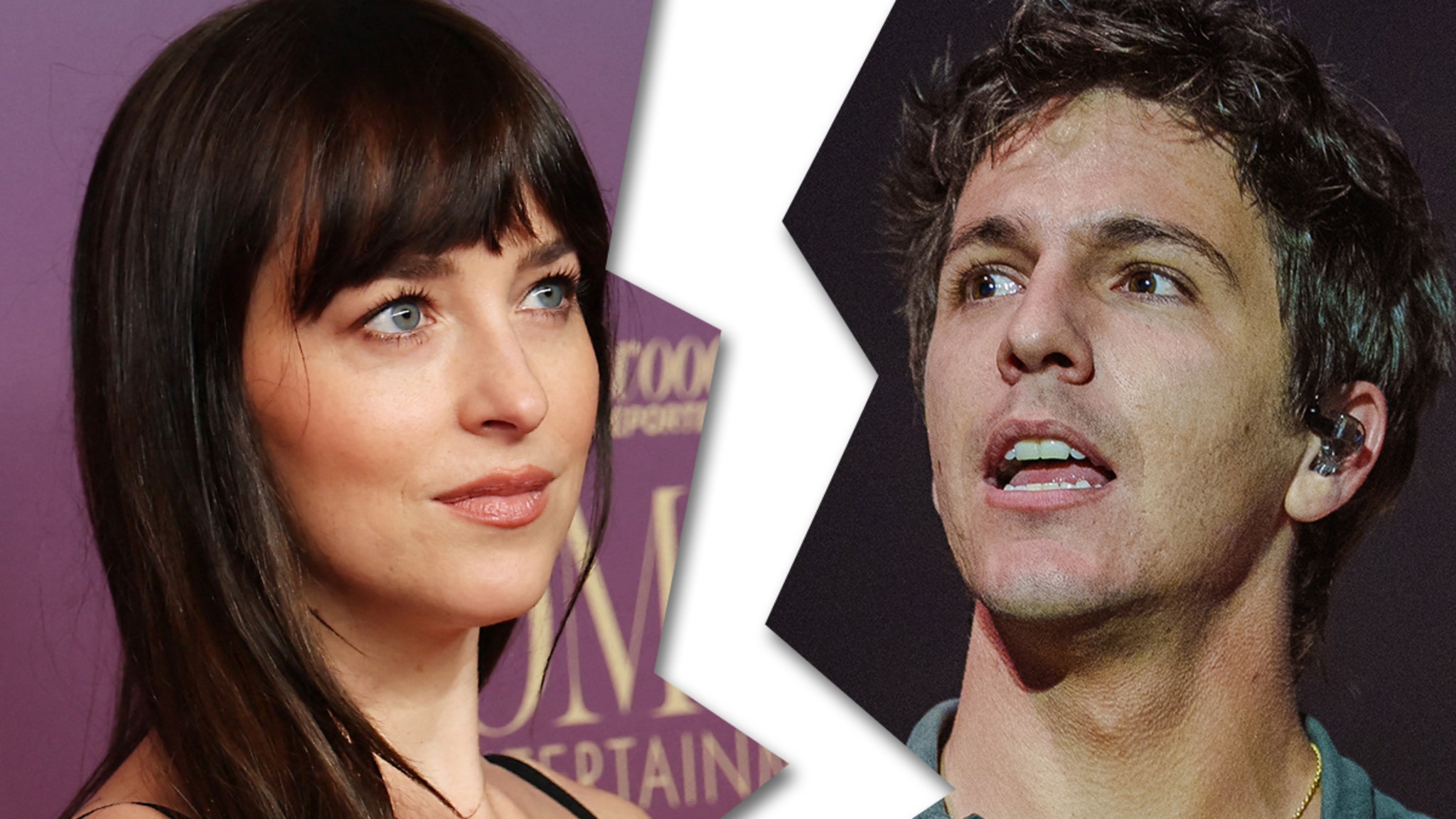 Dakota Johnson and Role Model Split