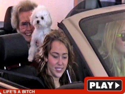 Miley Cyrus: Click to watch