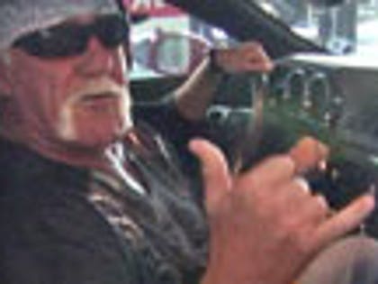 1008_hulk_thumb
