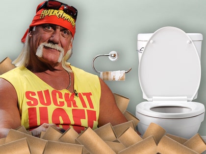 hulk hogan