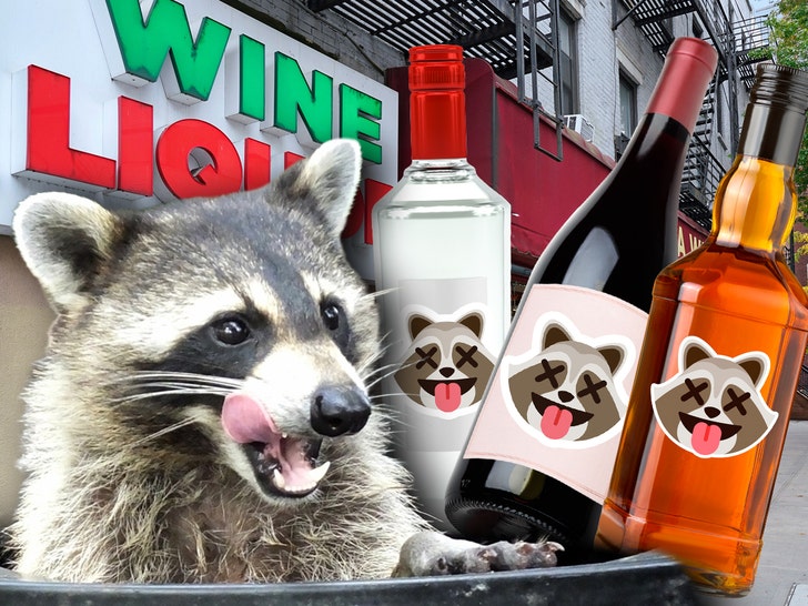 raccoon liquor drinks getty comp 2