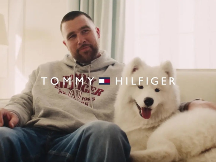 Travis Kelce and Taylor Swift’s dog makes fashion debut tommy hilfiger 2