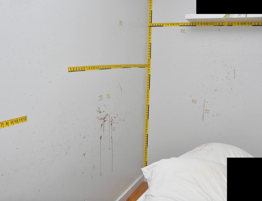 Bryan Kohberger Graphic Crime Scene Photos 5