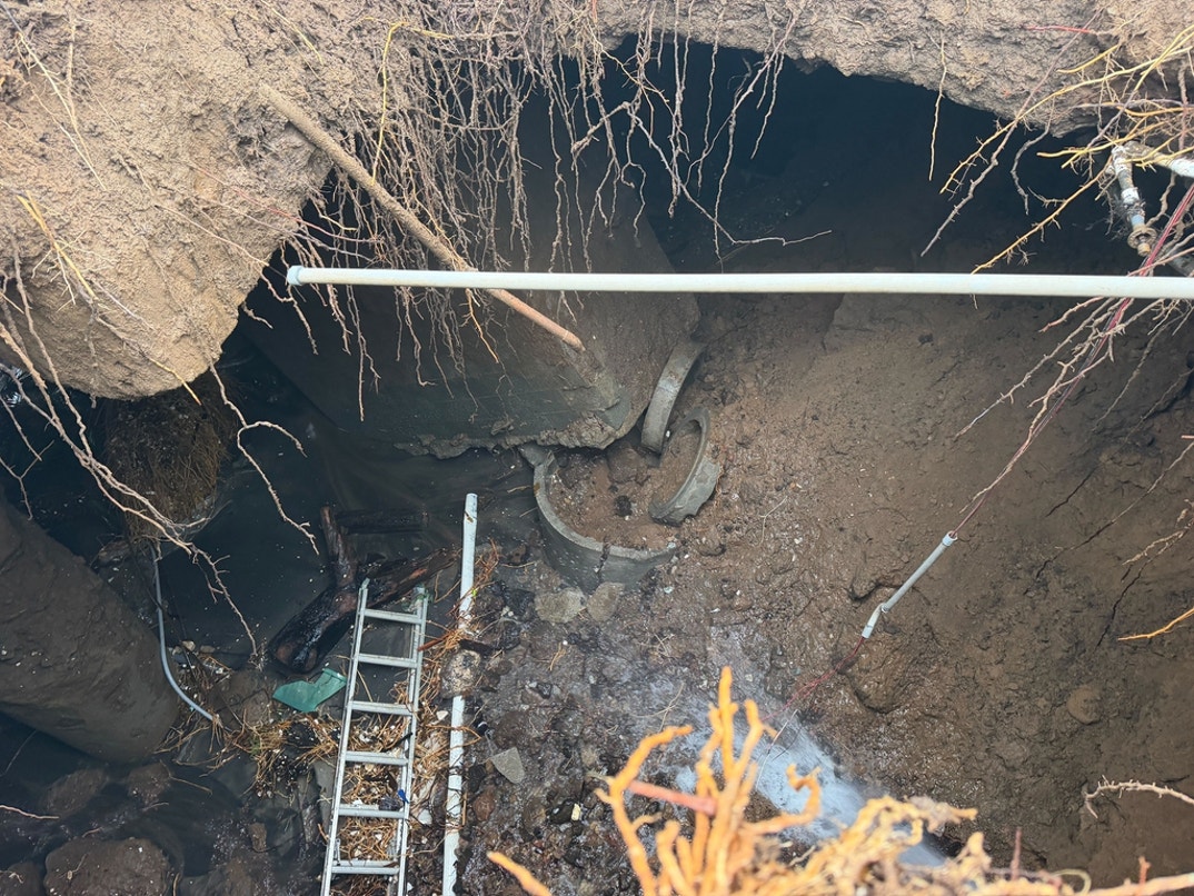 Nicolas Cage Sinkhole 0